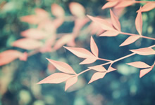 阿根廷球员获得新赛季首个个人奖项，感谢队友