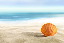 南欧前锋连续比赛上演帽子戏法个人状态火热