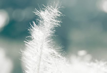 北京球队与江苏苏宁激烈对阵，谁能胜出？