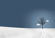 足球赛事：球队士气高昂备战决战